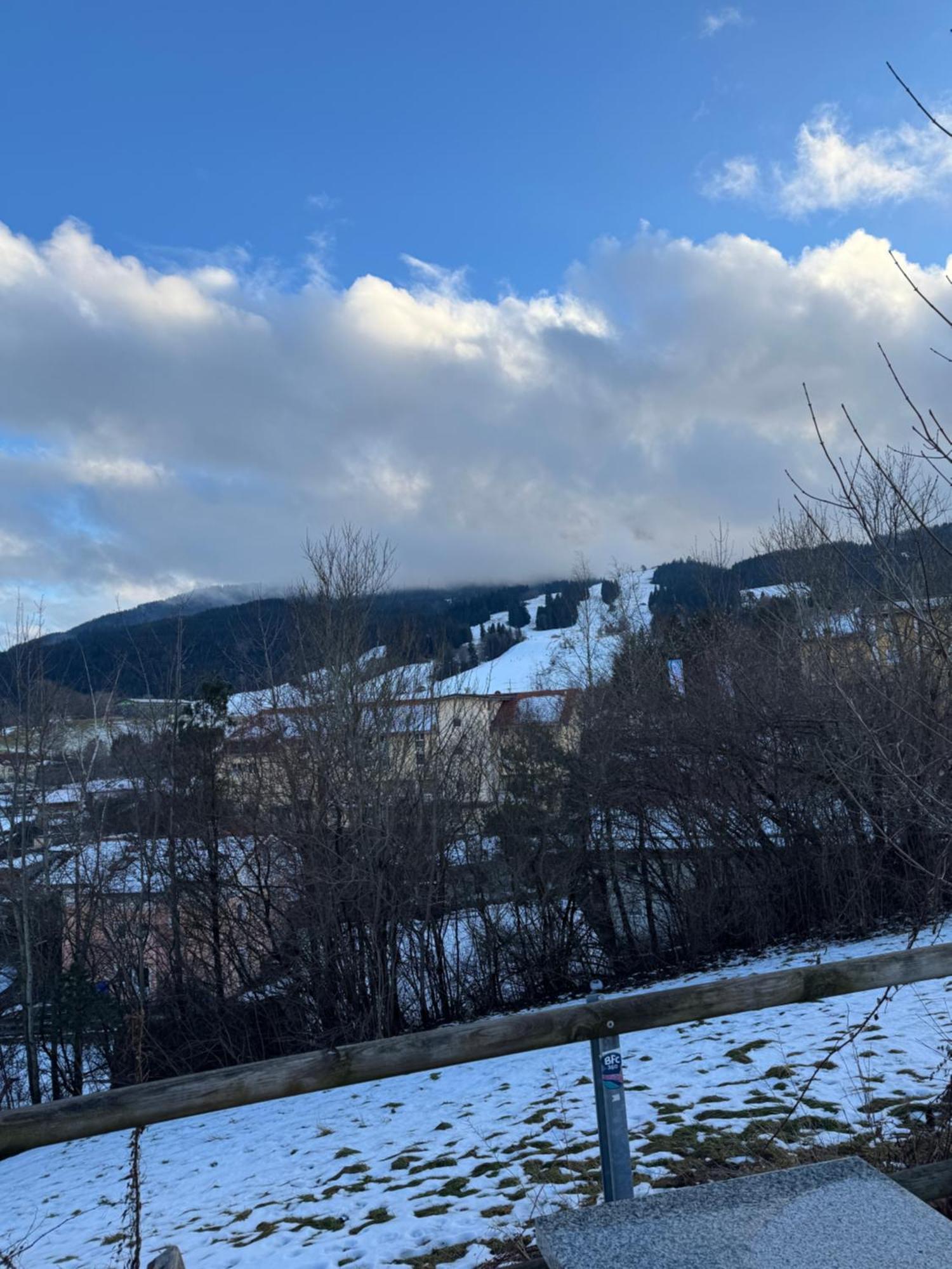 Alpen Hotel Martin Nesselwang Eksteriør billede